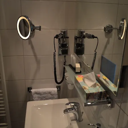 فندق Stadt Heidelberg 3*