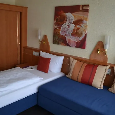 فندق Stadt Heidelberg 3*