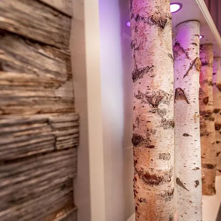 Hotel Stadt Heidelberg 3*