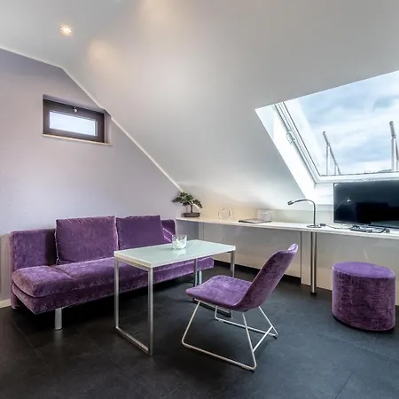 فندق Stadt Heidelberg 3*