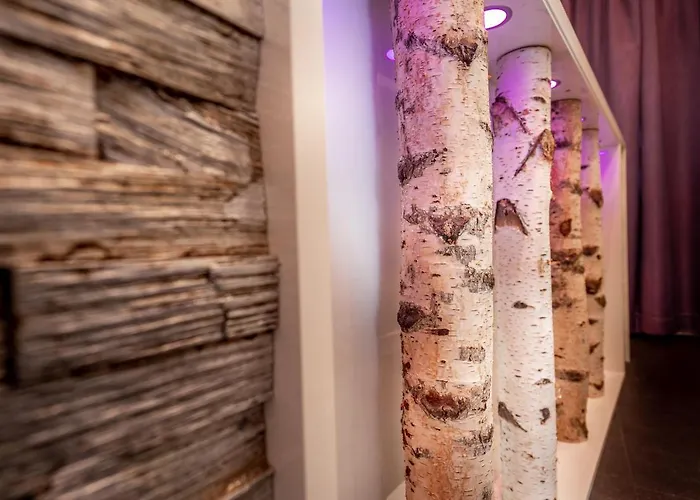 Hotel Stadt Heidelberg 3*