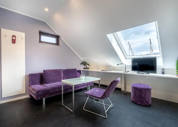 Otel Stadt Heidelberg 3*